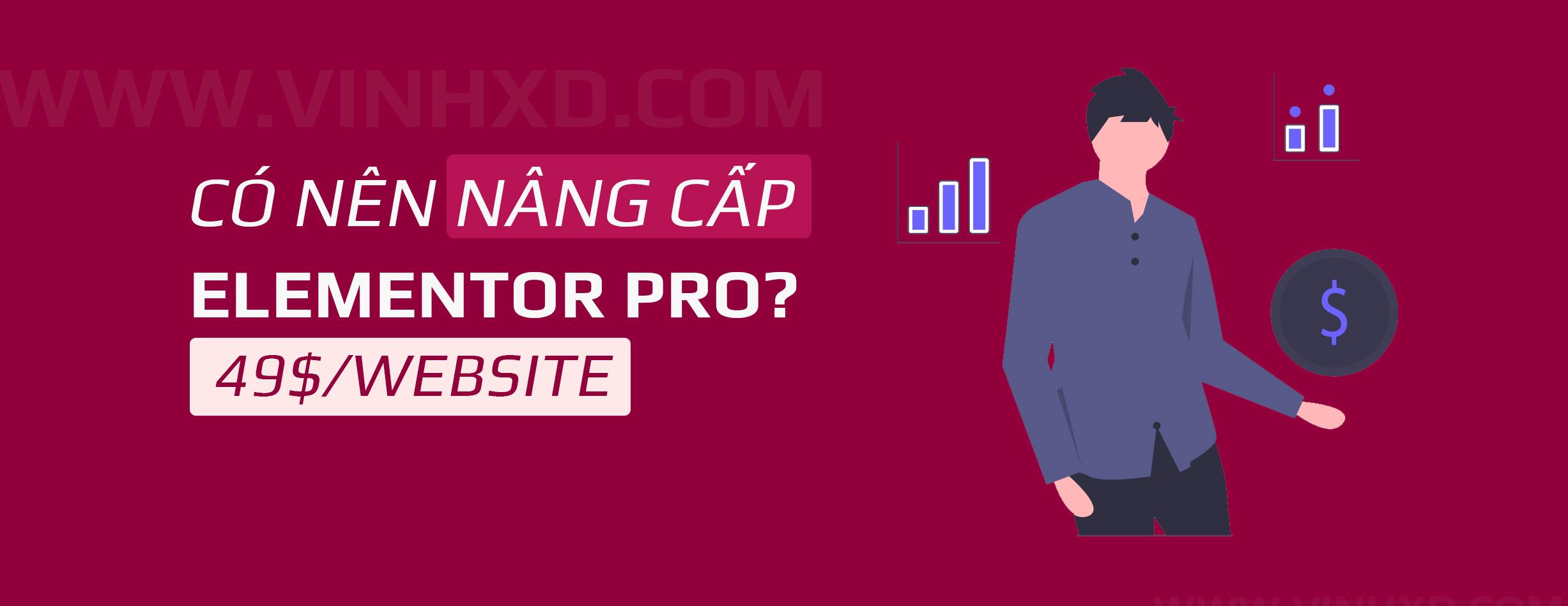 nang cap elementor pro