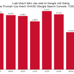 Lượt khách từ Google mỗi tháng của website bán xe Triumph
